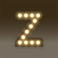 Alphabet Incandescent light bulb box set letter Z, illustration