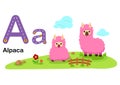 Alphabet Letter A-Alpaca with cartoon vocabulary illustration