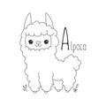 Alphabet letter animals children illustration alpaca sketch