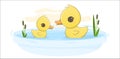 Alphabet letter animals children illustration duck bird