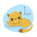 Alphabet letter animals children illustration jaguar