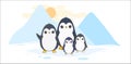Alphabet letter animals children illustration penguin sketch