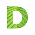 Alphabet Letter D - Green leaf plant background