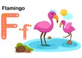 Alphabet Letter F-Flamingo with cartoon vocabulary illustration