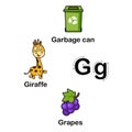 Alphabet Letter G-garbage can,grapes,giraffe