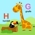 Alphabet Letter G-giraffe,H-hornbill,