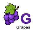 Alphabet Letter G-Grapes