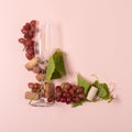 Alphabet. Letter L made of wineglasses with rose and white wine, grapes, leaves and corks lying on pink background. Wine Royalty Free Stock Photo
