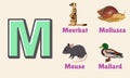Alphabet Letter M In Pictures, Animals Starting With M