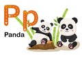 Alphabet Letter P-Panda with cartoon vocabulary illustration
