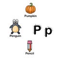 Alphabet Letter P-pumpkin,penguin,pencil illustration Royalty Free Stock Photo