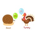 Alphabet Letter S-snail,T-turkey Royalty Free Stock Photo