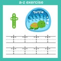 Alphabet Letter T-turtle exercise,paper cut concept