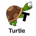 Alphabet Letter t-turtle Royalty Free Stock Photo