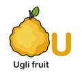 Alphabet Letter U-Ugli fruit Royalty Free Stock Photo