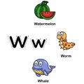 Alphabet Letter W-watermelon,worm,whale vector illustration Royalty Free Stock Photo