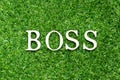 Alphabet in word boss on green grass background