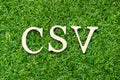 Alphabet in word CSV Abbbreviation of Computer system validation or Comma-separated values on green grass background Royalty Free Stock Photo