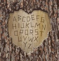 Alphabet letters carved into a tree with heart shape cut out.  Easy to edit font for your Valentine design. Royalty Free Stock Photo