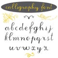 Alphabet letters lowercase, hand drawn calligraphy font. Vector alphabet. Hand written letters of the alphabet and decoration elem