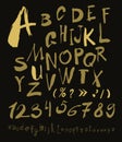 Alphabet letters lowercase, uppercase and numbers gold on black. Royalty Free Stock Photo