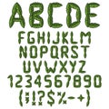 Alphabet, letters, numbers and signs from green leaves. Isolated vector objects. Royalty Free Stock Photo