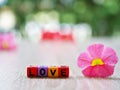 Alphabet `Love` beads on table with colorful pink flower blurred garden background Valentine`s day ,romantic love card ,copy space Royalty Free Stock Photo