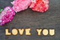 Alphabet love you and carnation Royalty Free Stock Photo