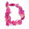 Alphabet made of peony petals. Letter D, layout for design