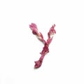 Alphabet made of peony petals. Letter y, layout for design