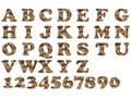 Alphabet military brown