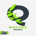 Natural Alphabet Q Logo With Green Colored Leaves. Royalty Free Stock Photo