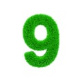 Alphabet number 9. Grassy font made of fresh green grass. 3D render isolated on white background.