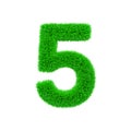 Alphabet number 5. Grassy font made of fresh green grass. 3D render isolated on white background.