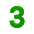 Alphabet number 3. Grassy font made of fresh green grass. 3D render isolated on white background.