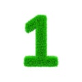 Alphabet number 1. Grassy font made of fresh green grass. 3D render isolated on white background.