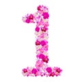 Alphabet number one from orchid flowers isolated on white Royalty Free Stock Photo