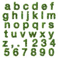 Alphabet with numbers made from green leaves isolated on white background. 3D render. Royalty Free Stock Photo