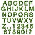 Alphabet with numbers made from green leaves isolated on white background. 3D render. Royalty Free Stock Photo