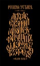 The alphabet of the Old Russian font. Vector. Inscription in Russian. Neo-Russian style 17-19 century. All letters are inscribed b