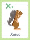 Alphabet printable flashcard with letter X and xerus animal