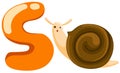 Alphabet S for snail