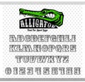 Alphabet serif from silver font, good to use in any sport team labels