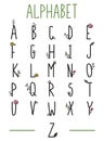 Alphabet - Simple Vector Font. Outline letters in modern style with hand drawn rustic floral elements. Typography font uppercase Royalty Free Stock Photo