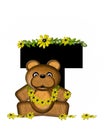 Alphabet Teddy Making Daisy Chain T