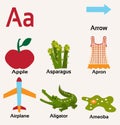 Alphabet A and things starting with it Royalty Free Stock Photo