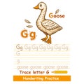 Alphabet trace letter G handwriting vocabulary practice, cute goose duck farm bird animal character. Kid education task. Vector