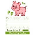 Alphabet trace letter P handwriting vocabulary practice. Cute baby pig piglet animal. ABC English. Kid write education task