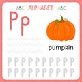 Alphabet tracing worksheet for preschool and kindergarten. Writing practice letter P. Exercises for kids