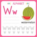 Alphabet tracing worksheet for preschool and kindergarten. Writing practice letter W. Exercises for kids